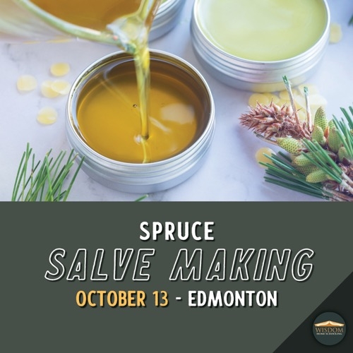 Spruce Salve Making - Edmonton <span>E1171</span>